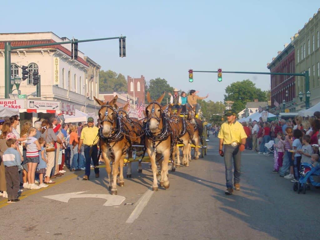 Festival of the Horse