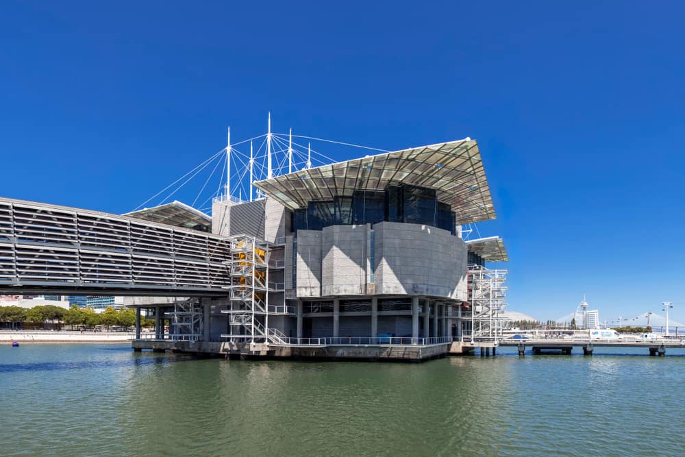 Lisbon Oceanarium