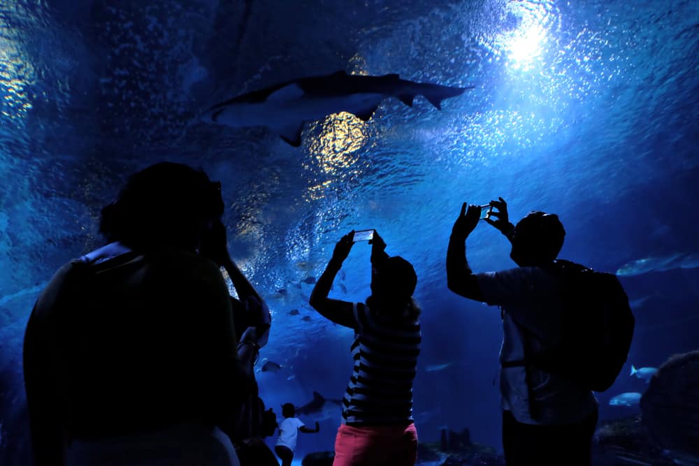 Oceanogràfic