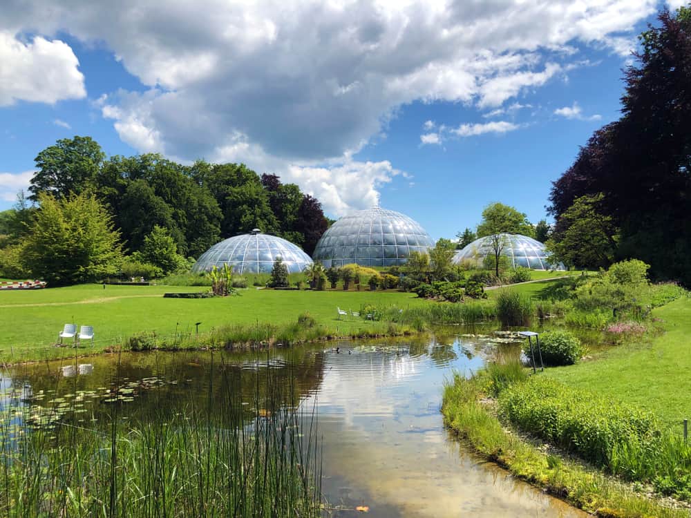 University of Zürich Botanical Garden