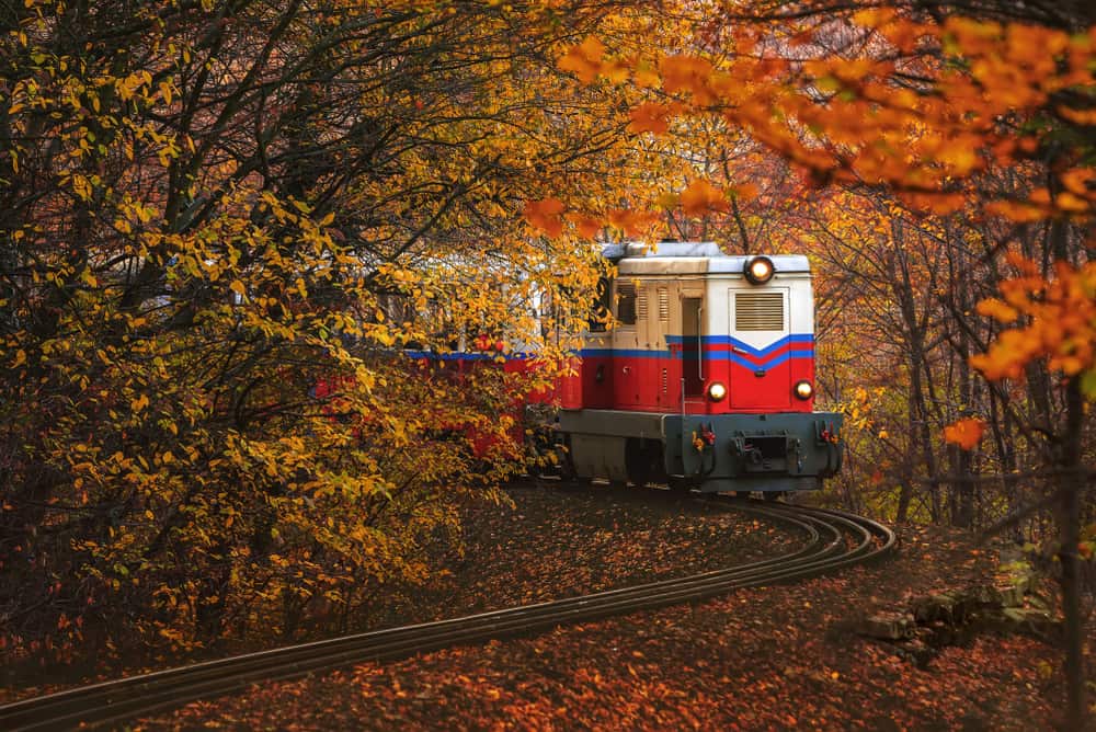 Buda Hills