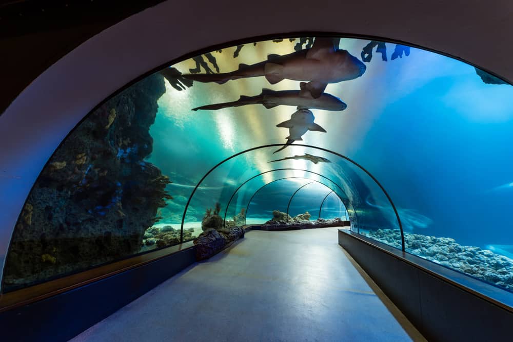 Rotterdam Zoo