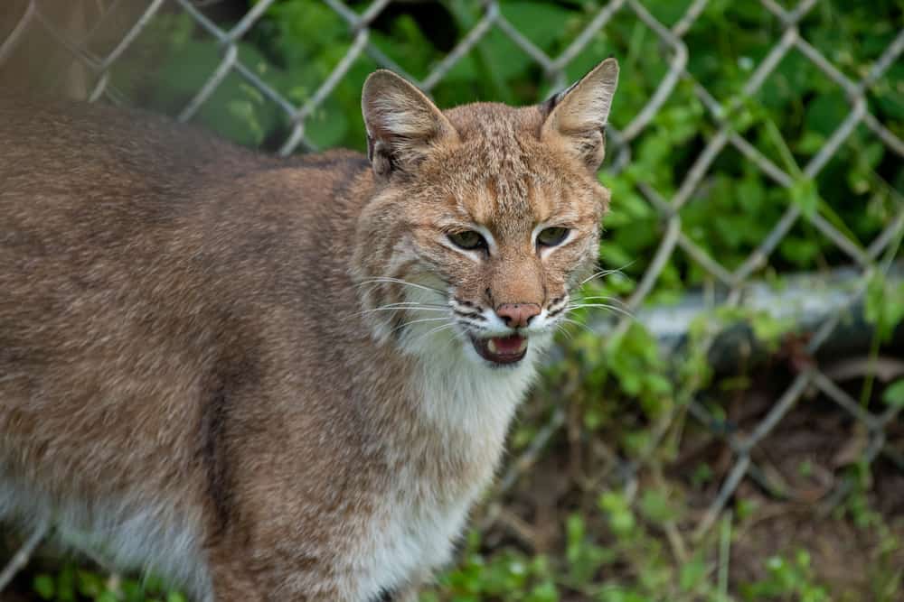 Salato Wildlife Education Center