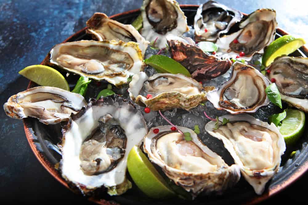 oysters