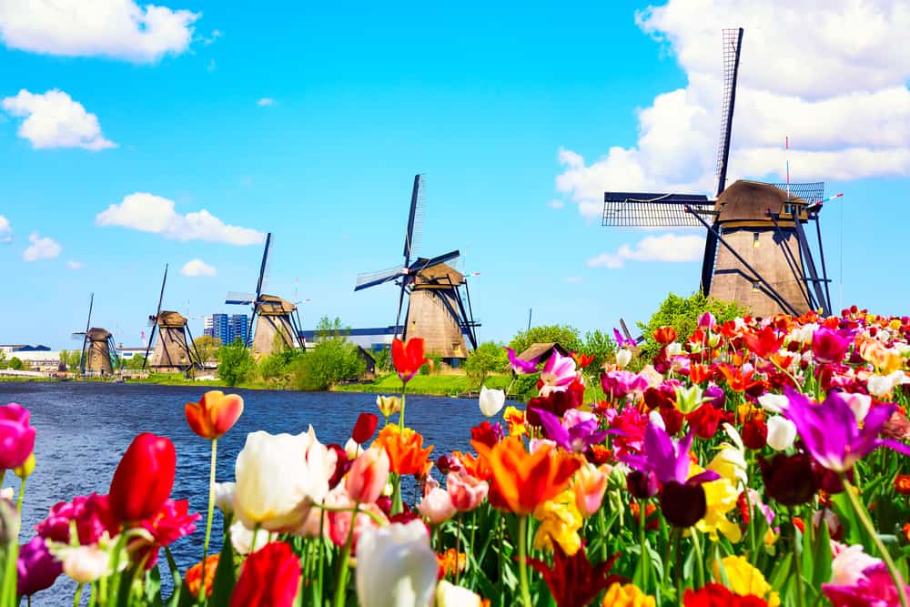 Kinderdijk's Windmills