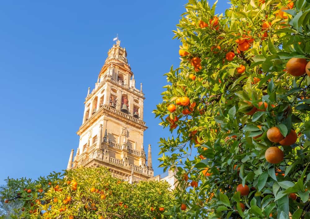 La Giralda