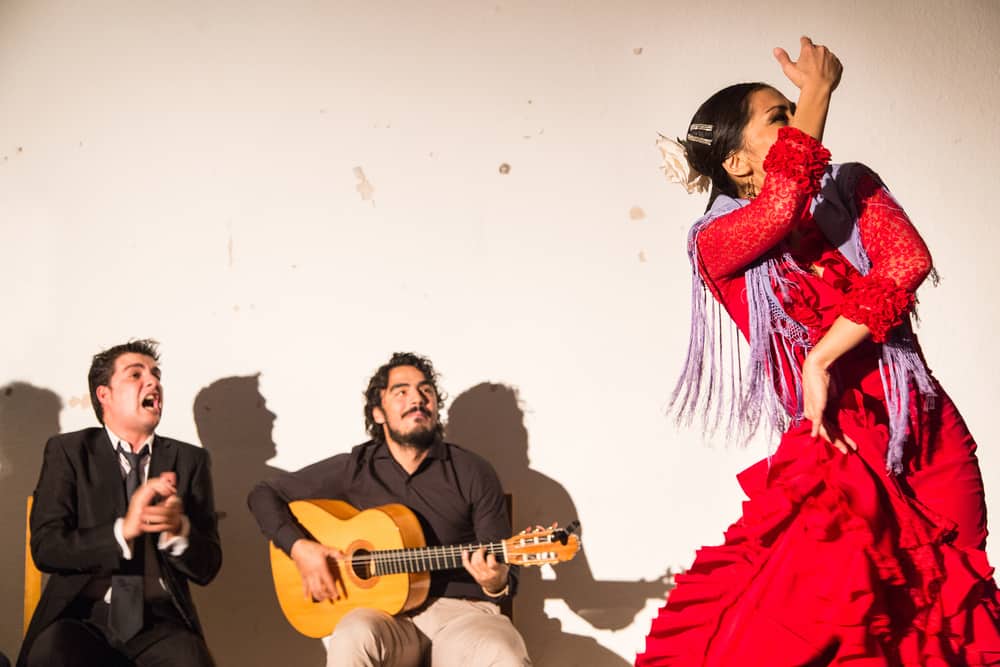 Flamenco Show