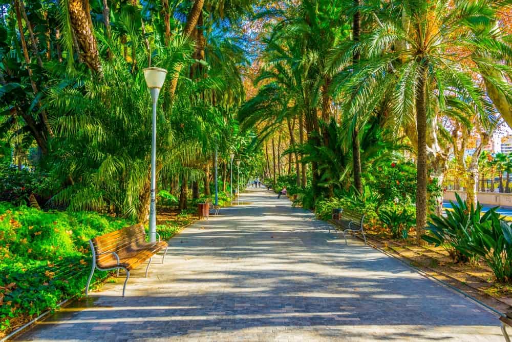 Parque de Málaga