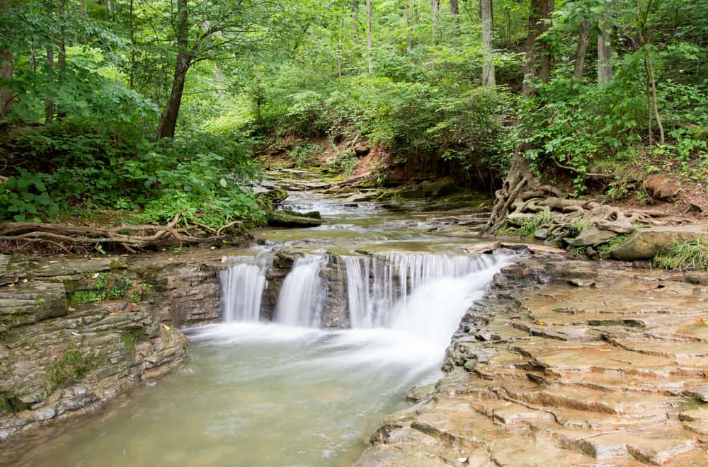Saunders Springs Nature Preserve