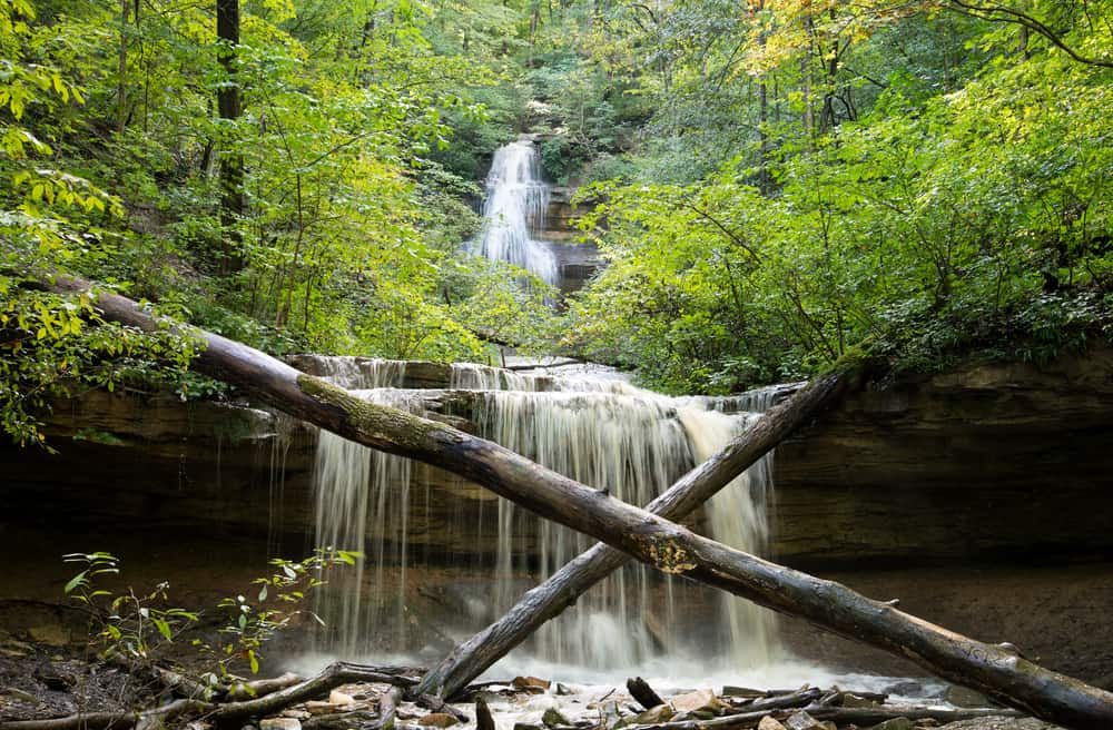 Tioga Falls Hiking Trail