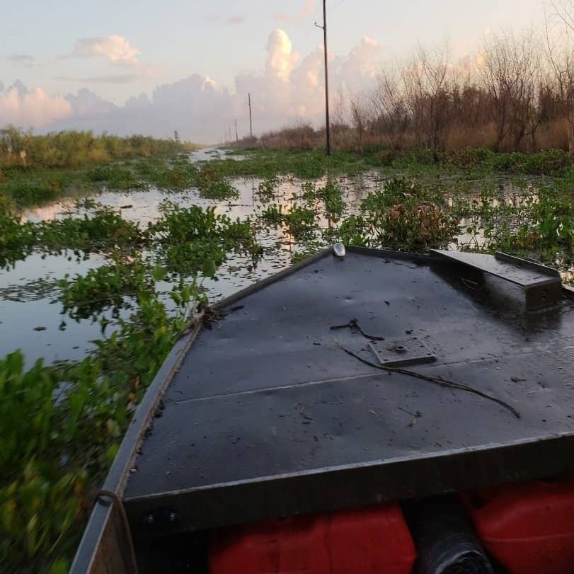 Mitchell’s Swamp Adventures
