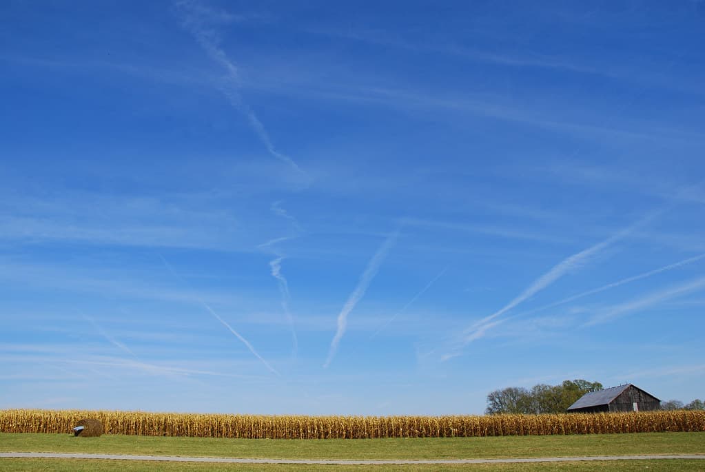 Gallrein Farms