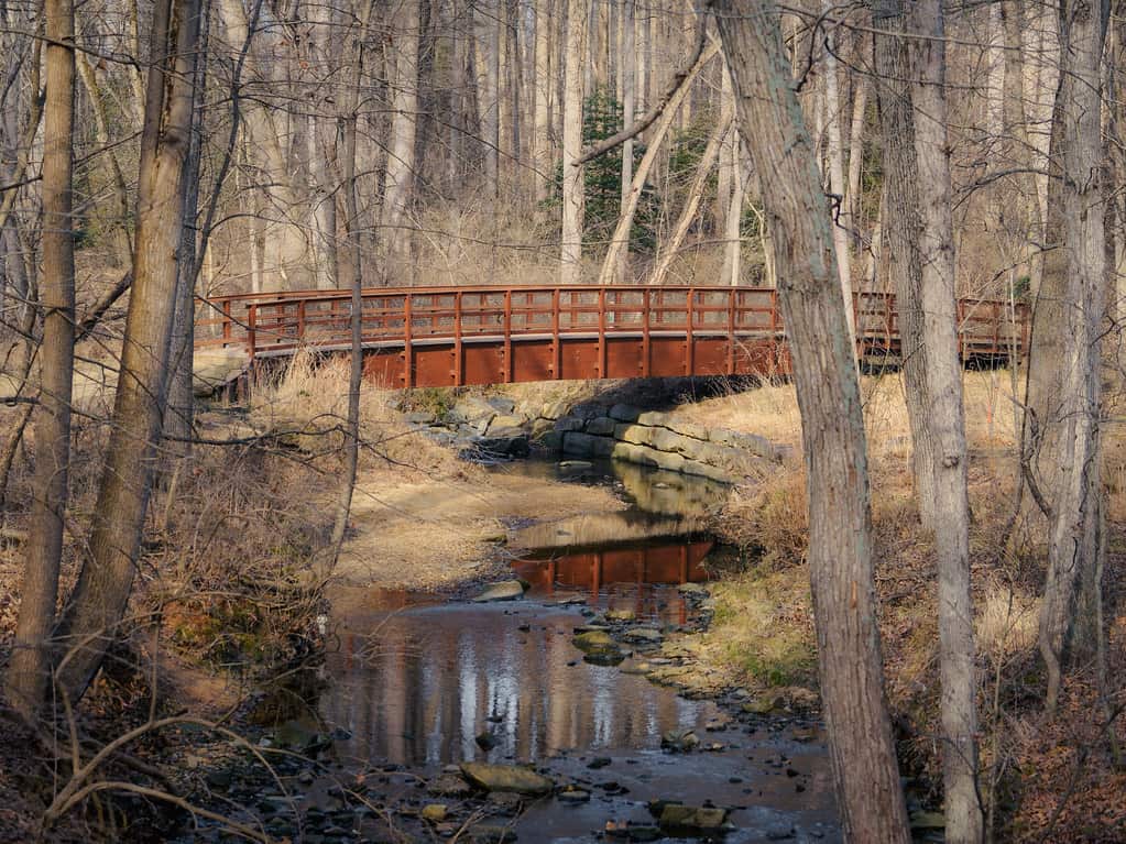 Croydon Creek Nature Center