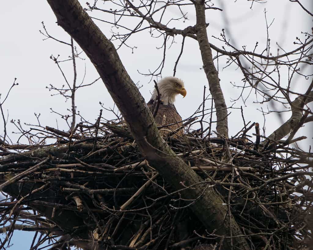 Meadowside Nature Center