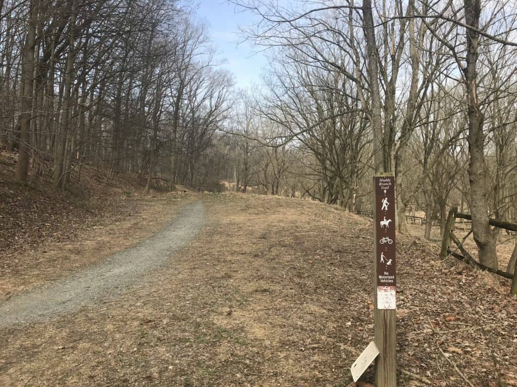 Muddy Branch Greenway Trail