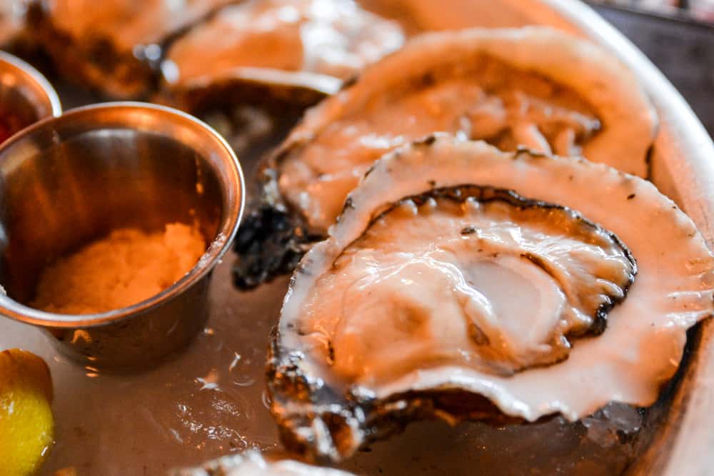 Oysters