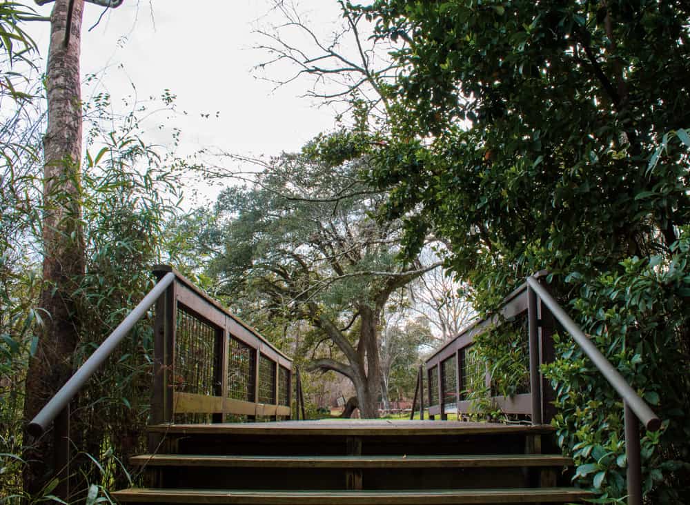 Cohn Arboretum