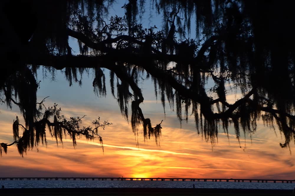 Pontchartrain Lakefront Trail