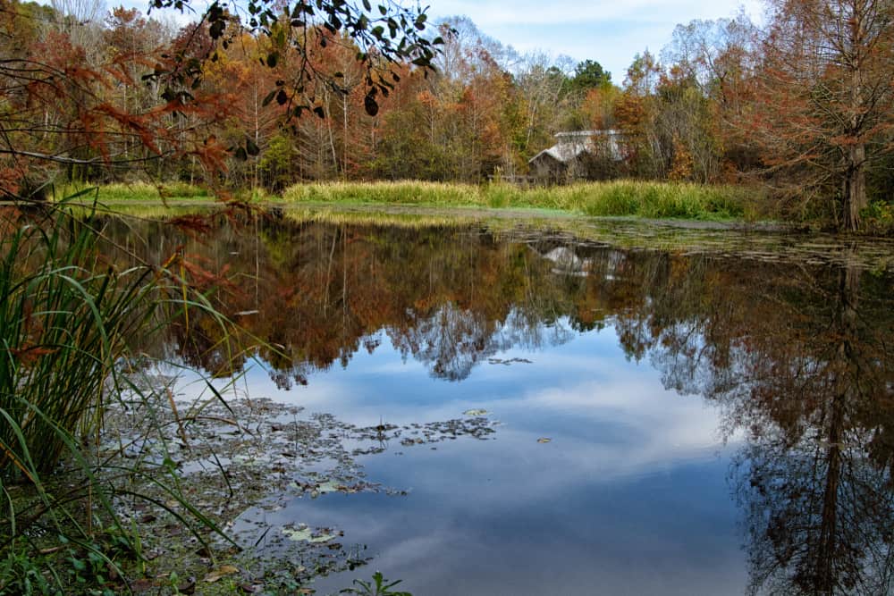 Bogue Chitto National Wildlife Refuge