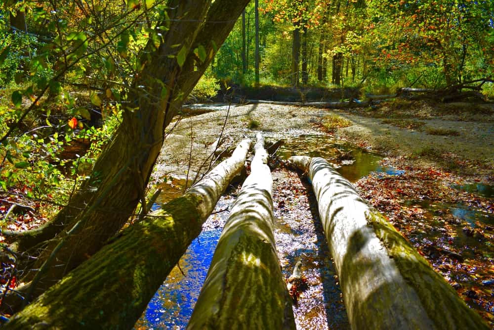 Cabin John Regional Park