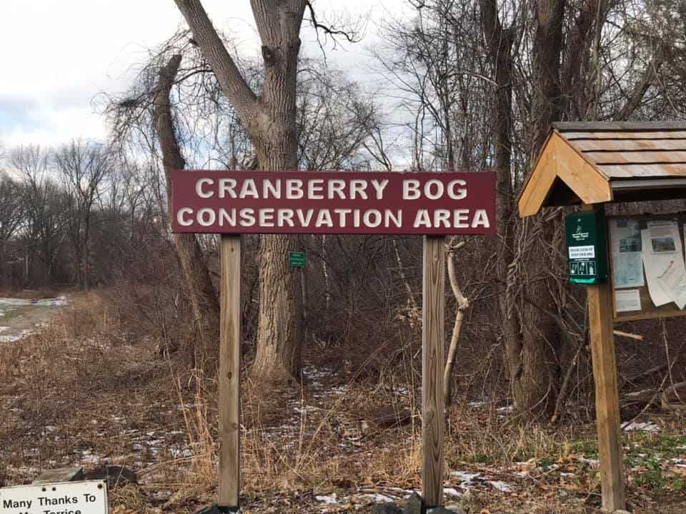Cranberry Bog Conservation Area