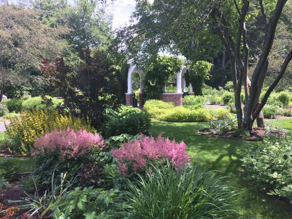 Grandmother’s Garden