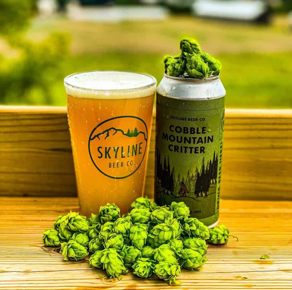 Skyline Beer Company