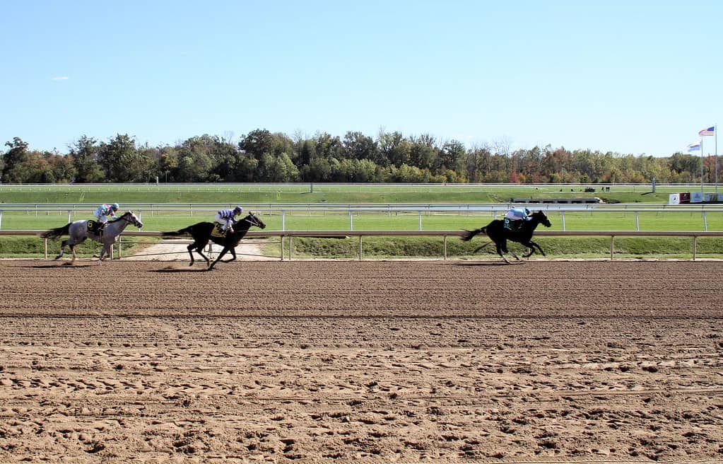Laurel Park Race Track