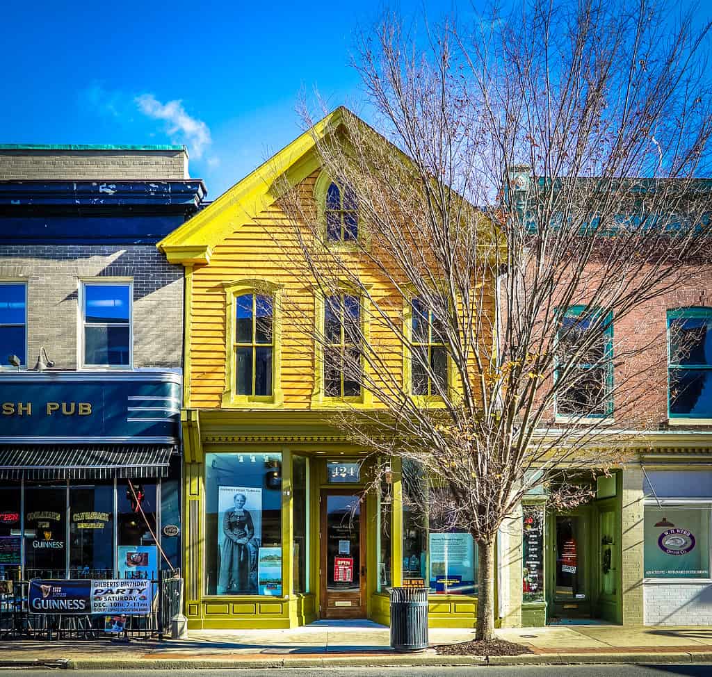 Harriet Tubman Museum and Education Center