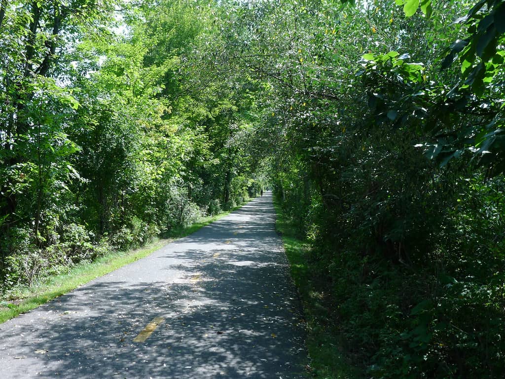 Norwottuck Rail Trail