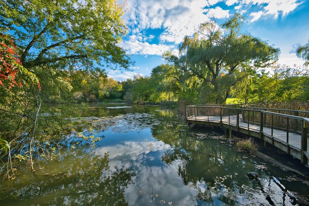 Armory Playground and Hall’s Pond Sanctuary