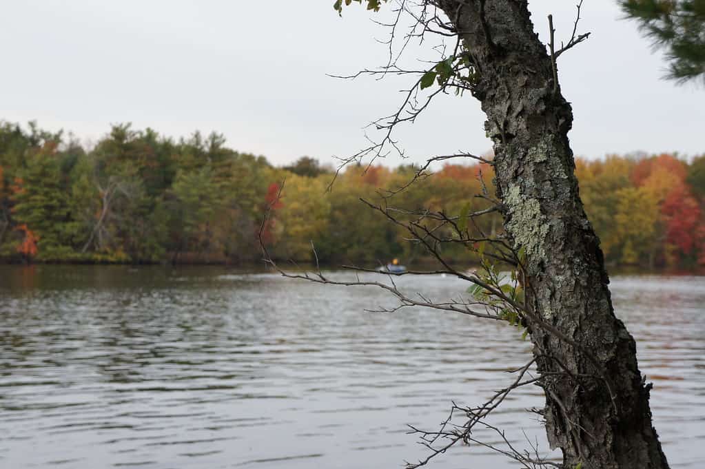 Merrimack River Trail - Andover