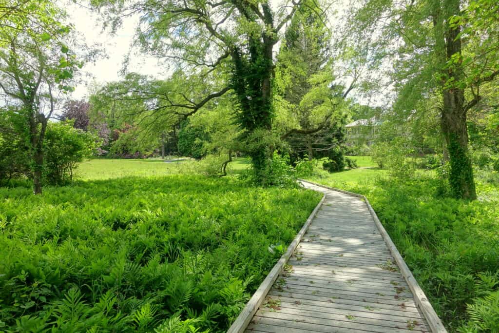 Doyle Community Park