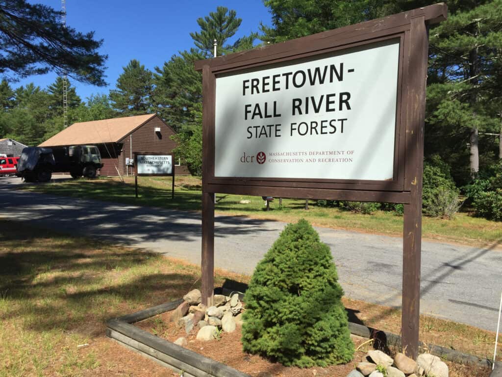 Freetown-Fall River State Forest