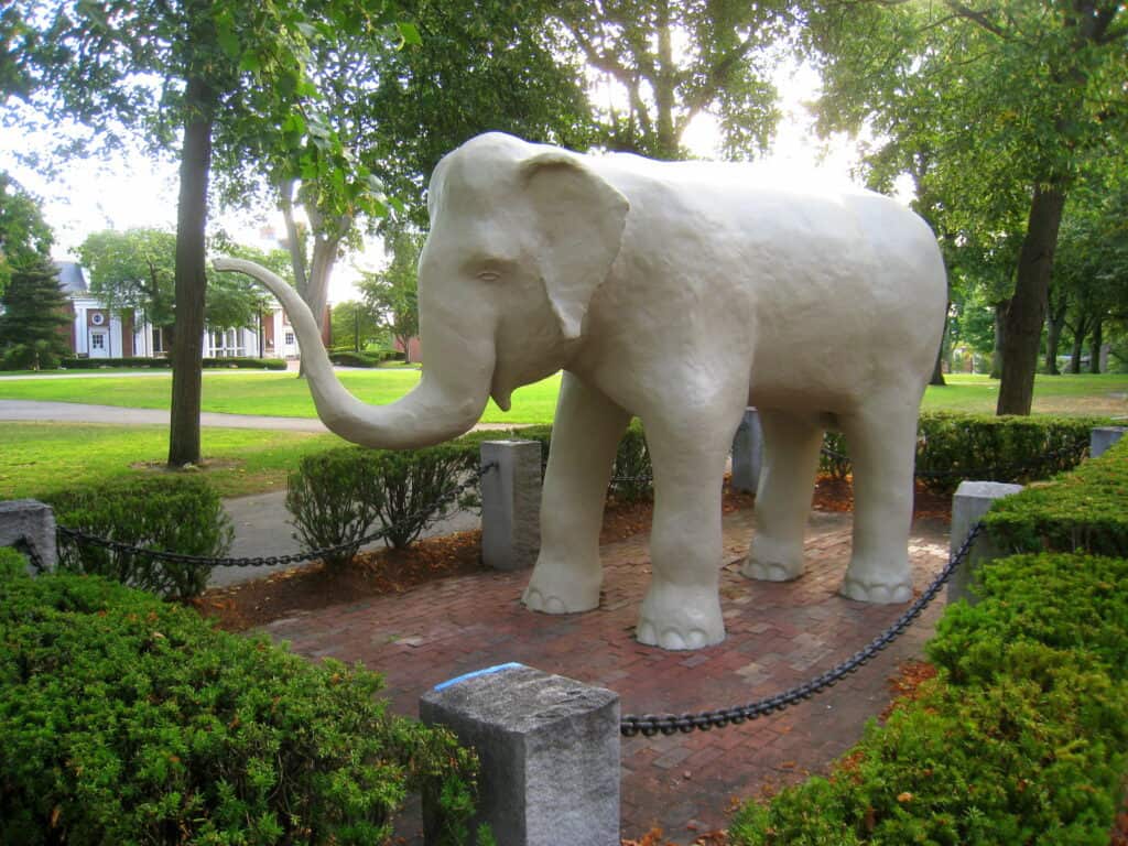 Tufts University Campus