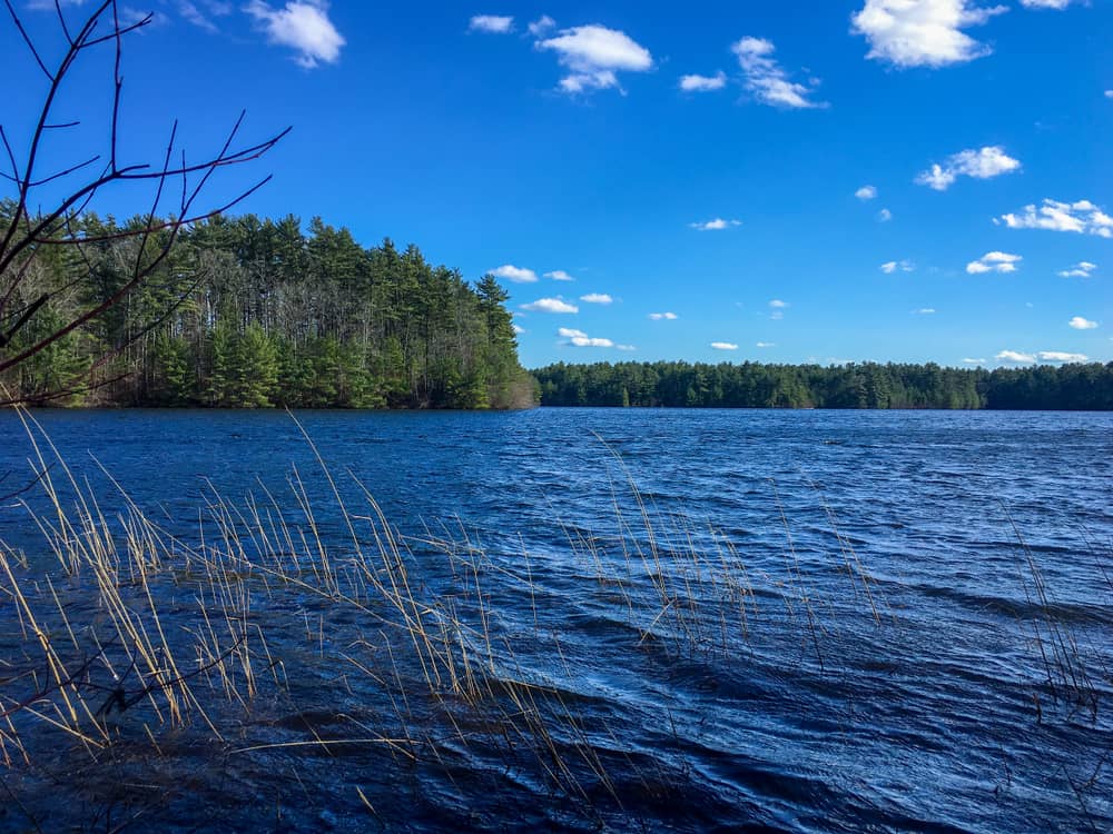 Massasoit State Park