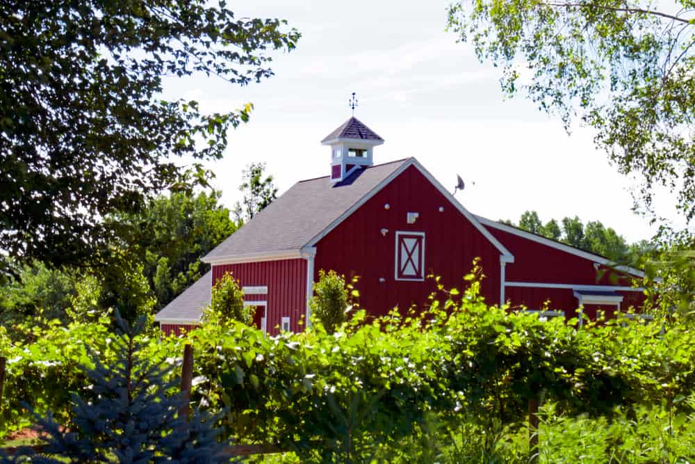 Broken Creek Vineyard and Winery