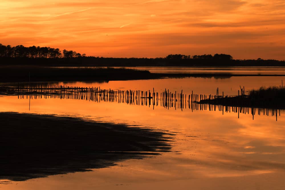 Blackwater National Wildlife Refuge