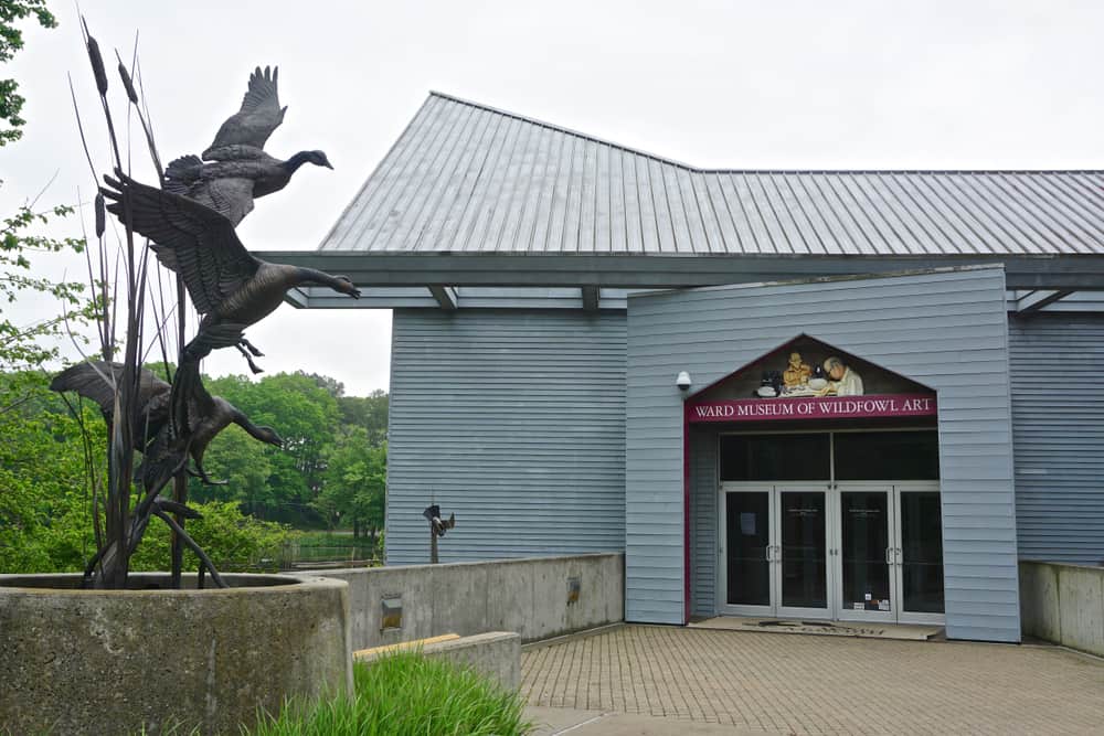 Ward Museum of Wildfowl Art