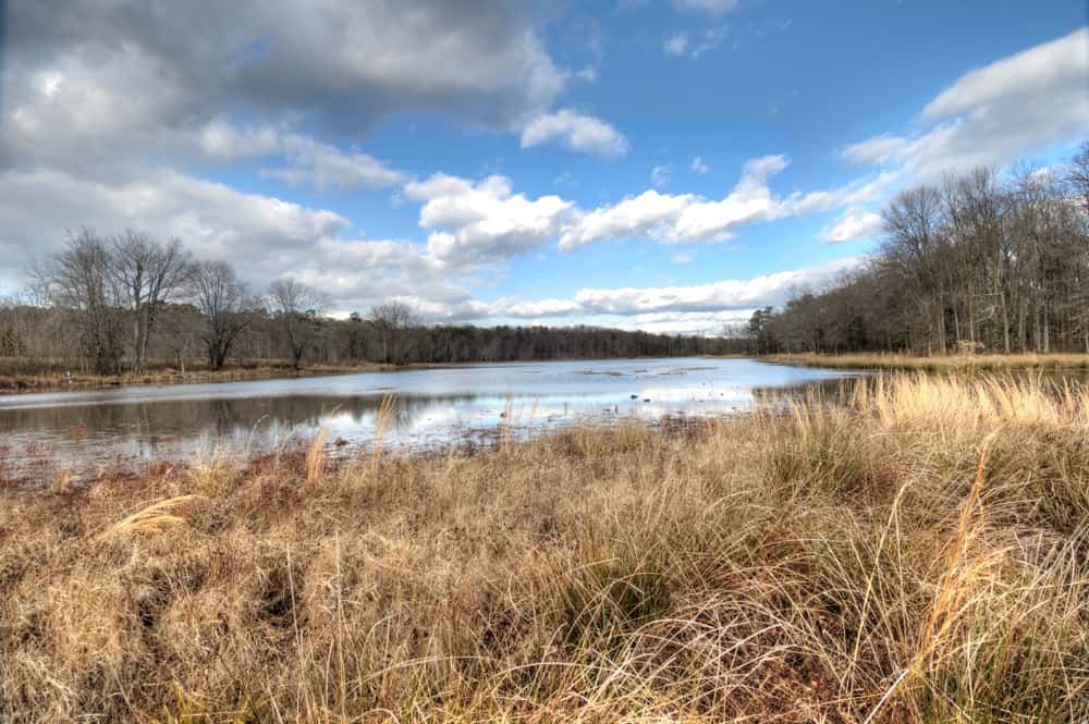 Patuxent Research Refuge