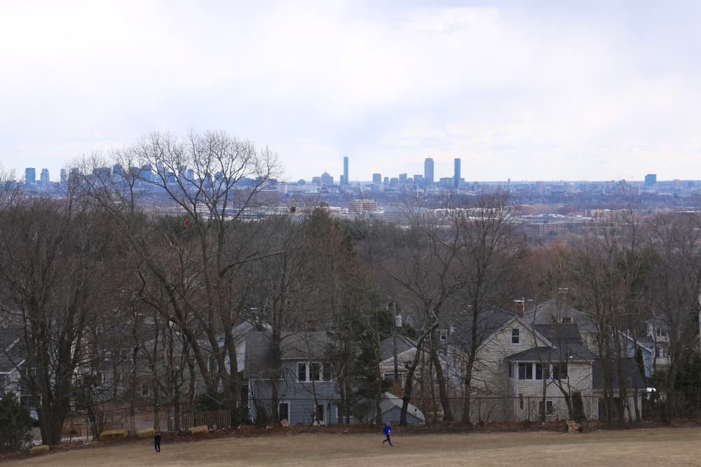 View of the Boston Skyline from Robbins Farm Park