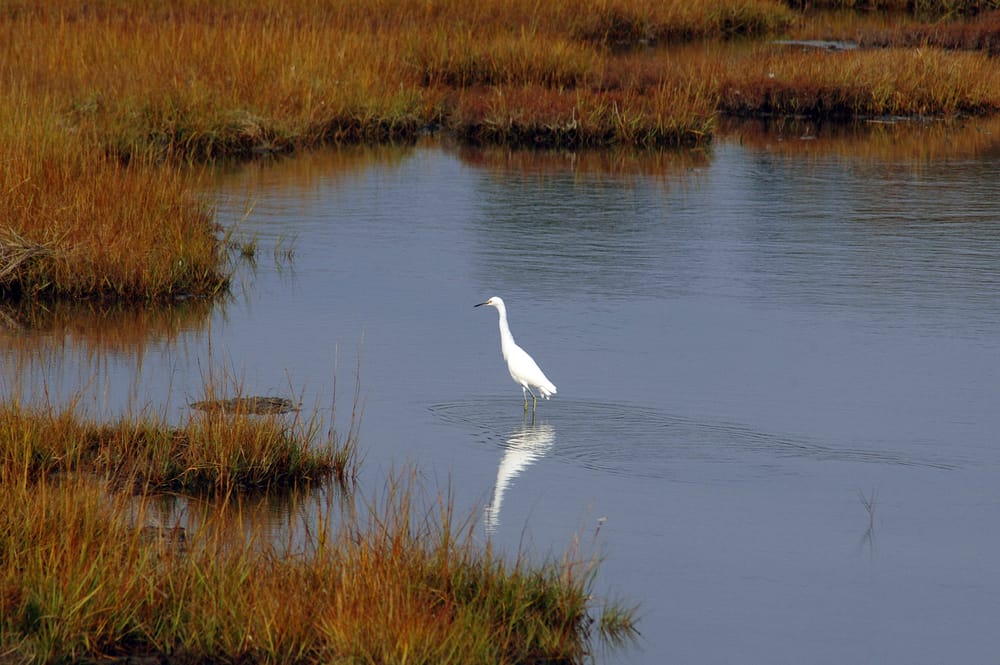 Belle Isle Marsh Reservation
