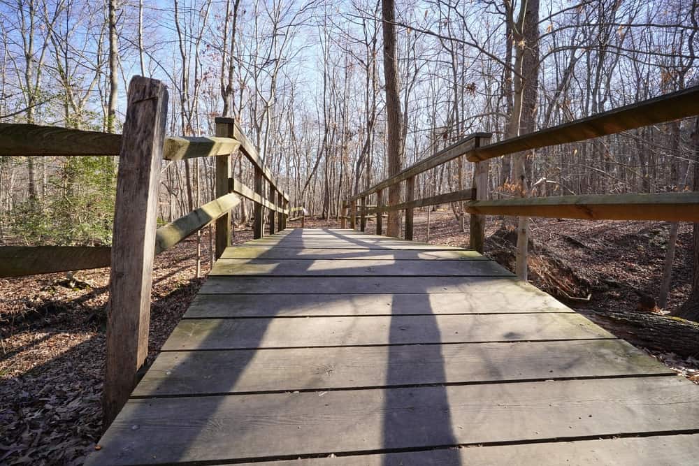Greenbelt Park