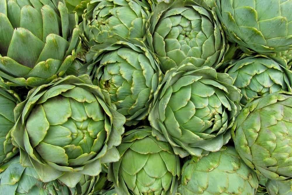 Artichokes