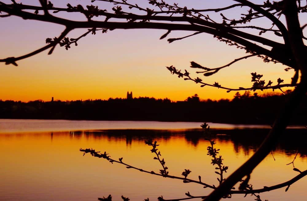 Chestnut Hill Reservoir