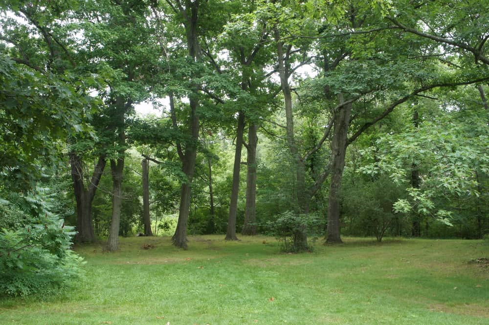 Beaver Brook Reservation