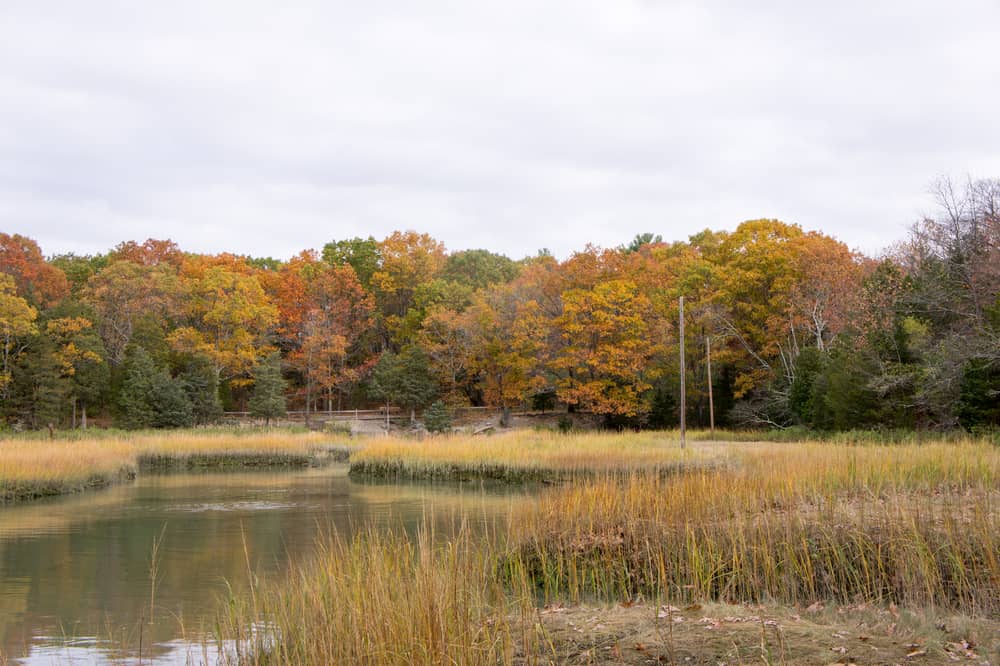 Weymouth Back River Trail