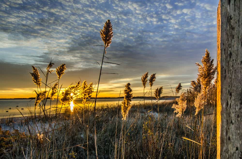 Hyannis Beach at Sunrise