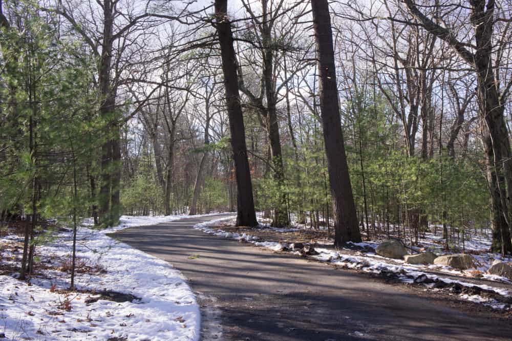 Prospect Hill Park