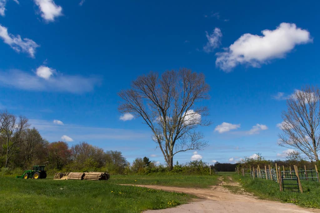 Moose Hill Farm